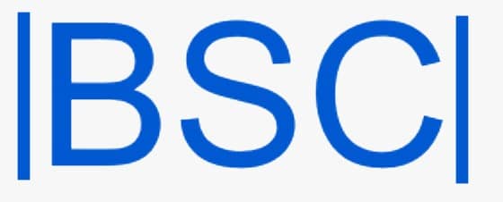 logo bsci